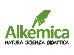 Alkèmica